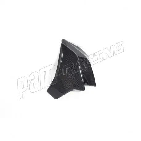 Rabatt Ecope de radiateur carbone ILMBERGER Diavel 1260 2019-2022