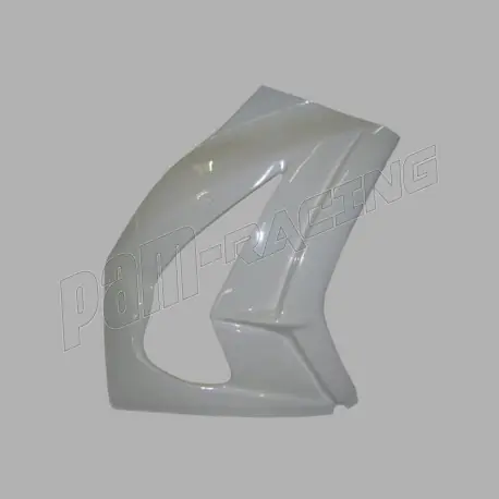 Flanc droit fibre de verre ZX10R 2011-2015 SEBIMOTO Wochenendangebot