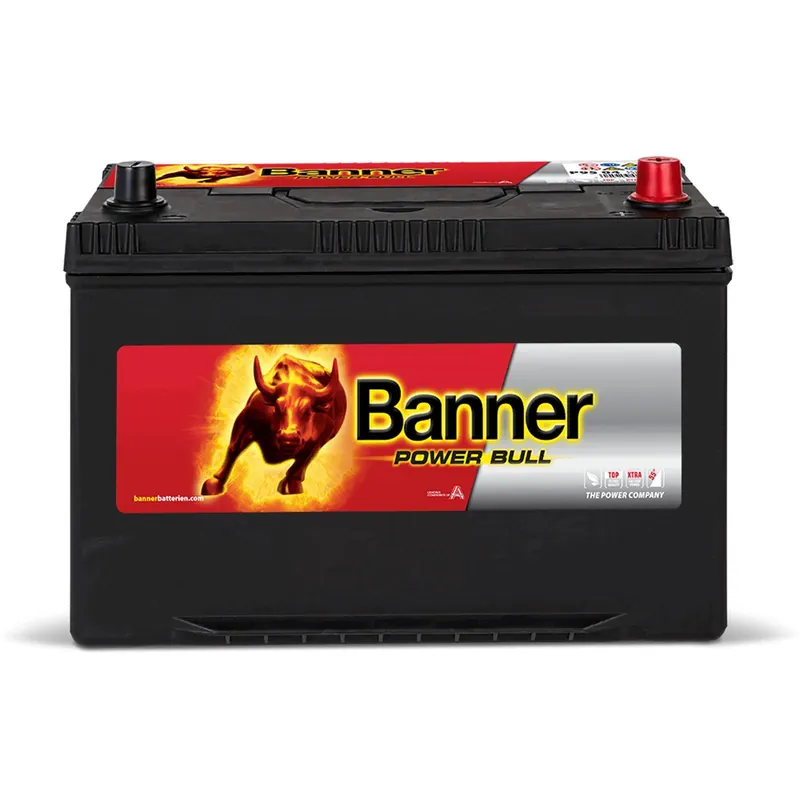 12V 95Ah 740A Banner Power Bull P9504 Starterbatterie Kracherpreis